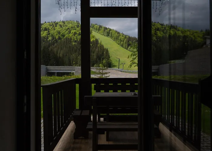Greitser Elit * 布克维